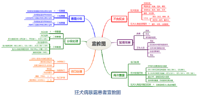 图片9