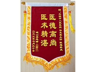 医德高尚 医术精湛