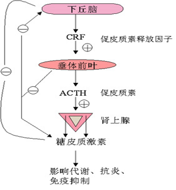 图片8