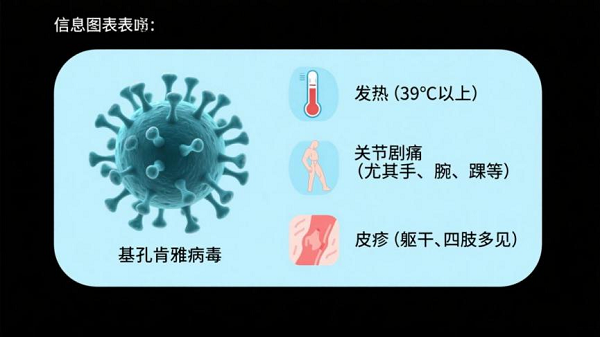 图片8