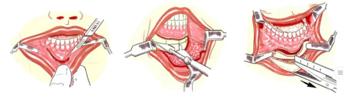 ScreenShot_2026-01-24_133447_191