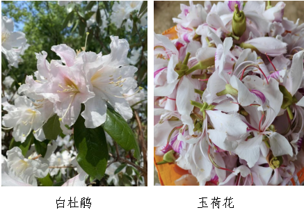 ScreenShot_2026-03-30_110407_370