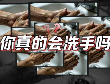 世界手卫生日｜您的双手，守护健康的第一道防线